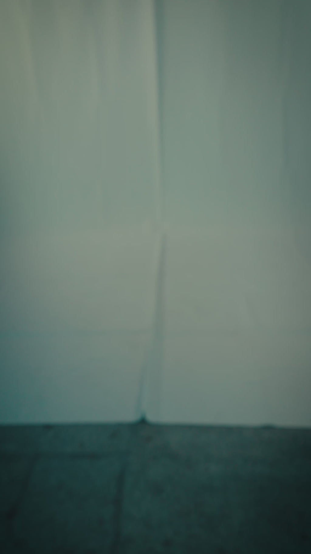 BackRow " First Collective " Concrete White Tee