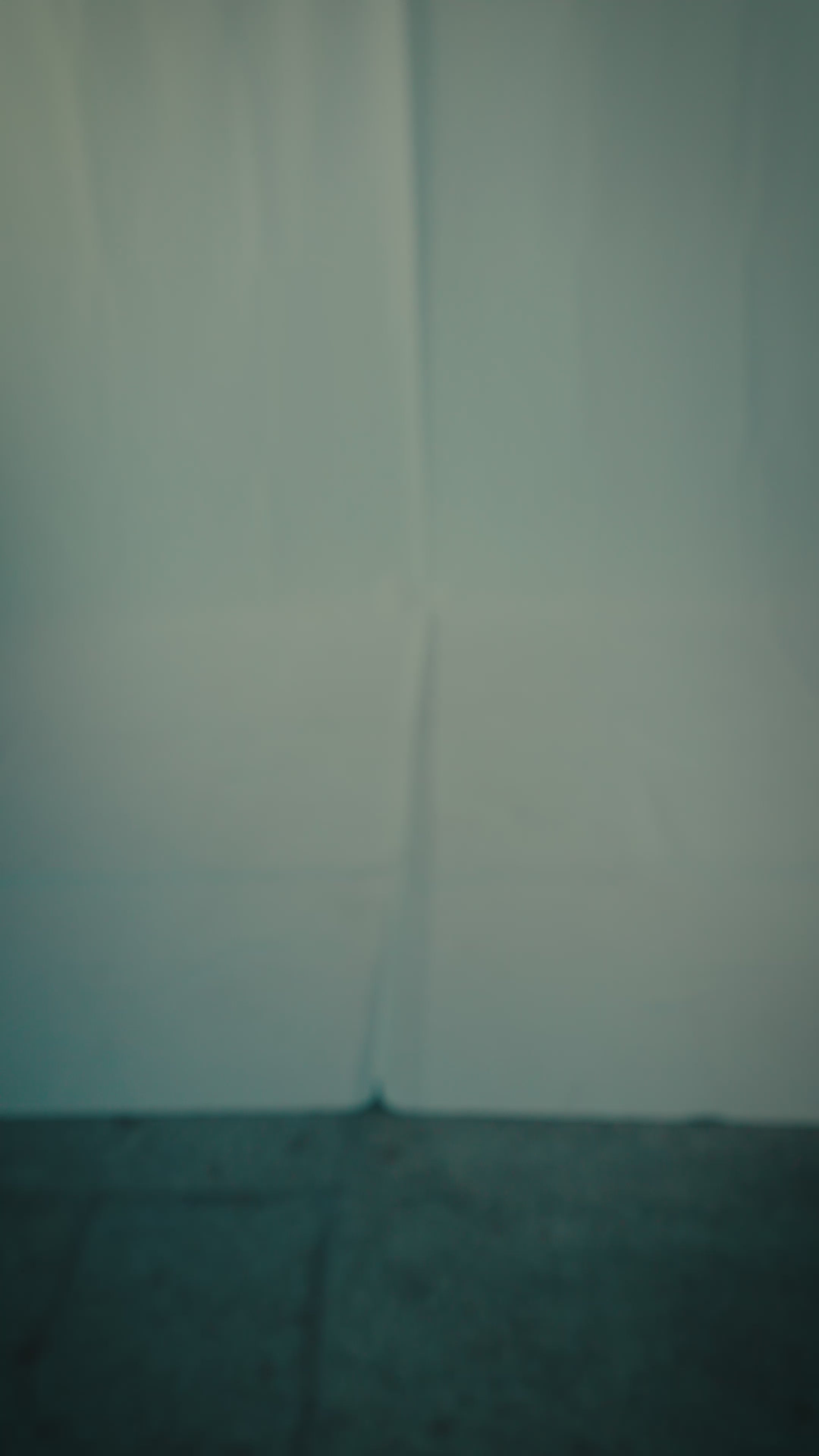 BackRow " First Collective " Concrete White Tee